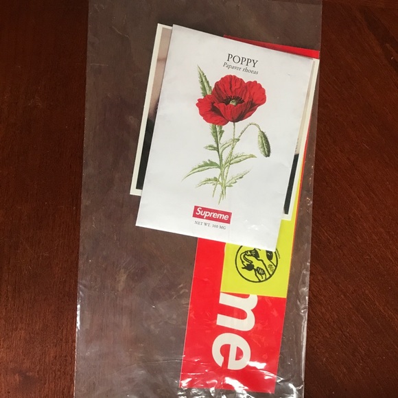 Supreme Raglan Tee - Picture 4 of 5